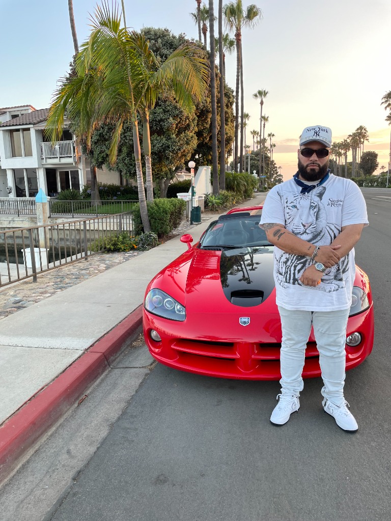 Sandro Lifestyle Viper